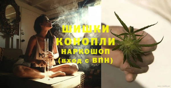 PSILOCYBIN Богородск